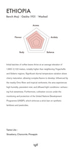 Ethiopia Banch Maji Geisha Washed
