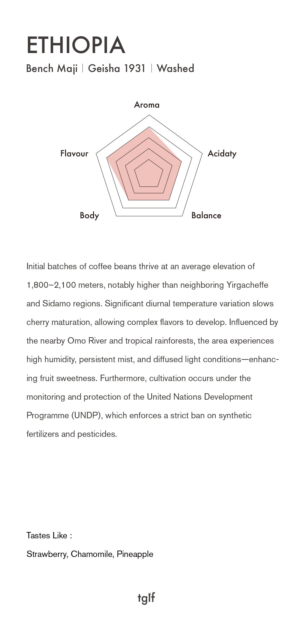 Ethiopia Banch Maji Geisha Washed