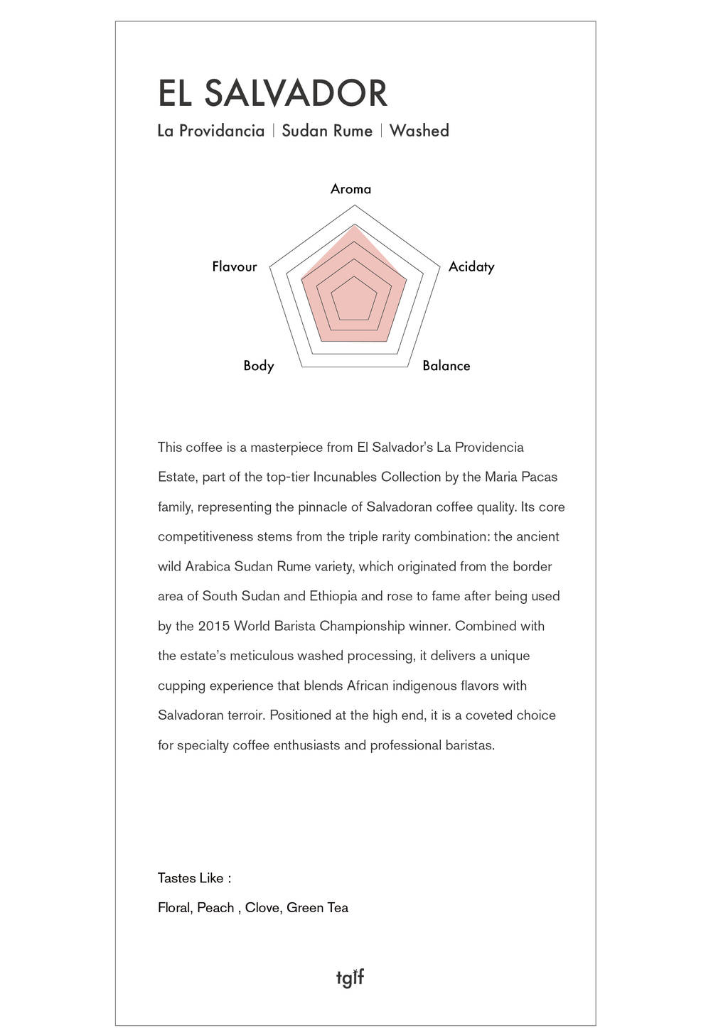 El salvador La providancia Sudan Rume Washed