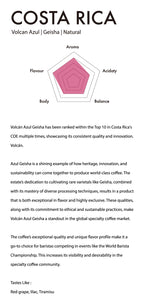 Costa Rica Volcan Azul Geisha Natural